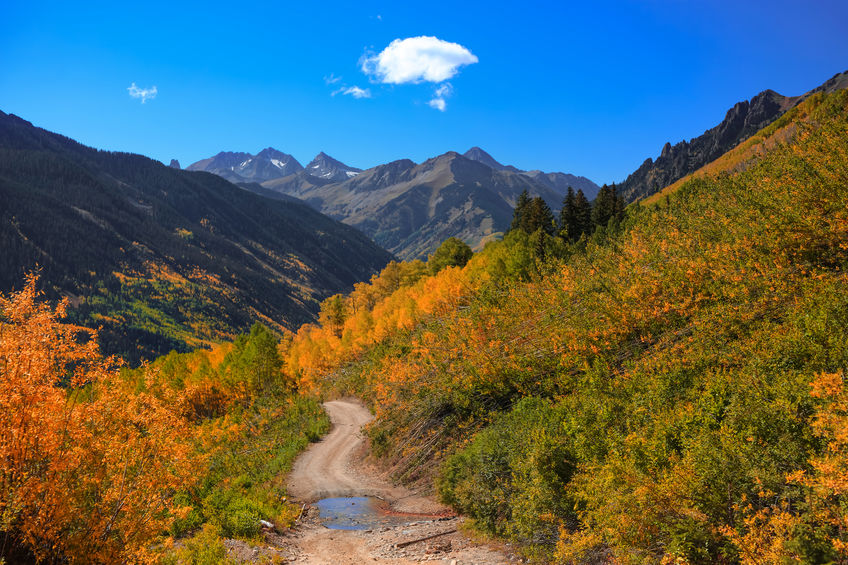 Fall Colors on Ophir Pass